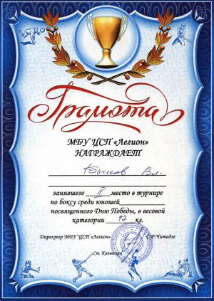 gramota-po-boksu-BikovVladislav-6b
